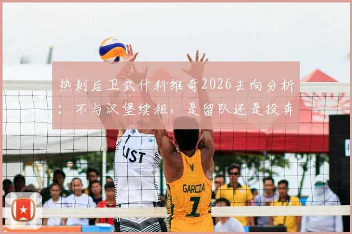 热刺后卫武什科维奇2026去向分析：不与汉堡续租，是留队还是投奔豪门？
