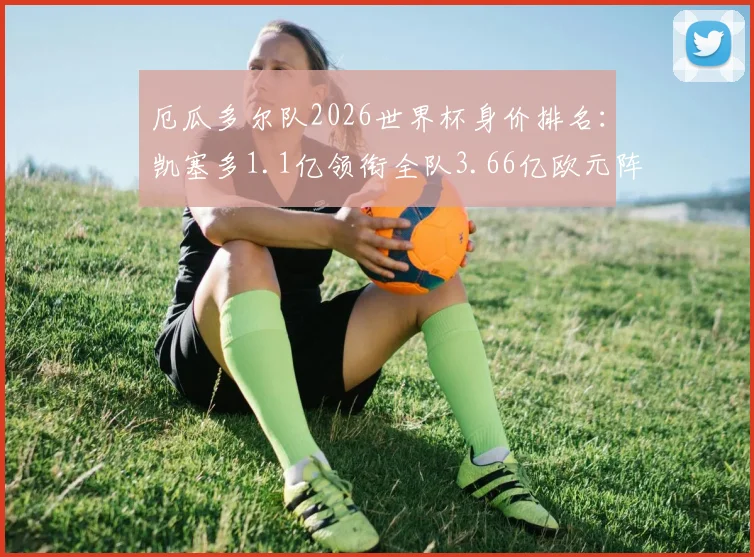 厄瓜多尔队2026世界杯身价排名:凯塞多1.1亿领衔全队3.66亿欧元阵容,核心球员身价解析与阵容名单
