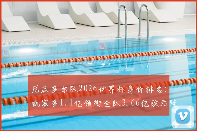 厄瓜多尔队2026世界杯身价排名：凯塞多1.1亿领衔全队3.66亿欧元阵容，核心球员身价解析与阵容名单
