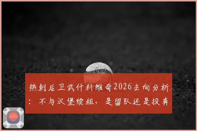 热刺后卫武什科维奇2026去向分析：不与汉堡续租，是留队还是投奔豪门？